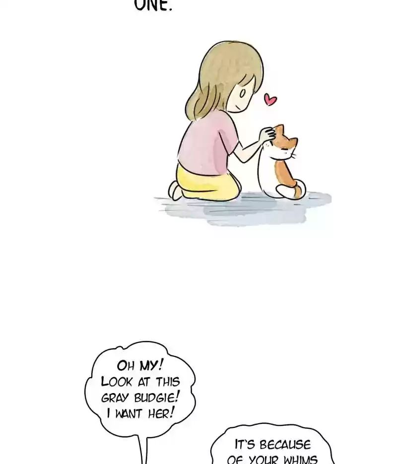 A Budgie's Life Chapter 197: Ep.196: