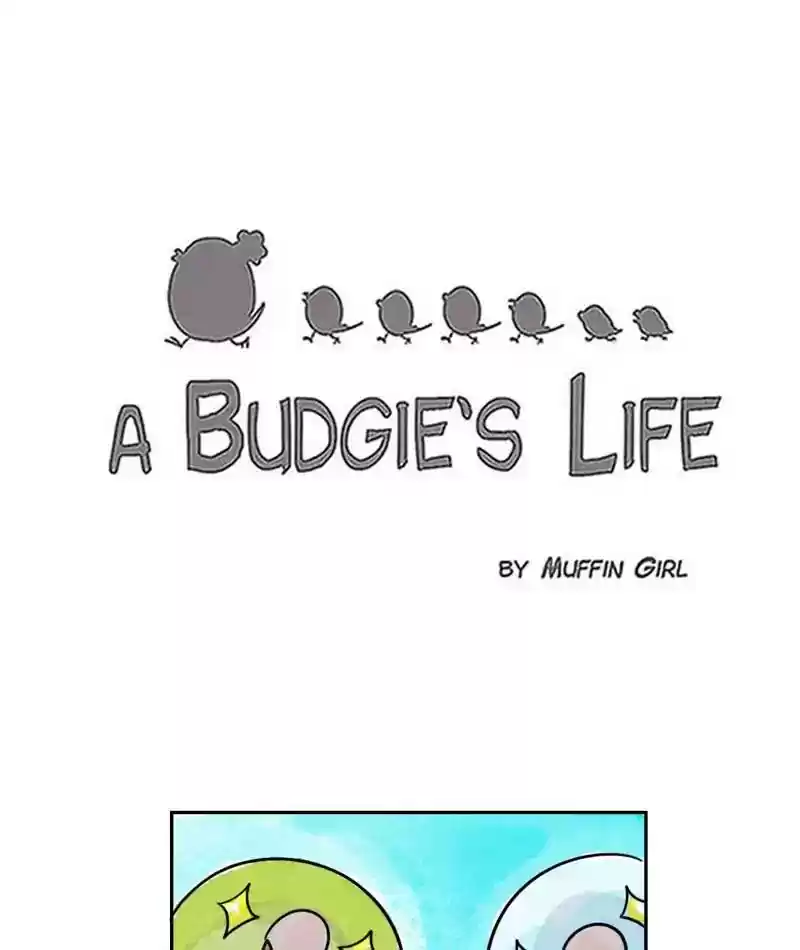 A Budgie's Life Chapter 198: Ep.197:
