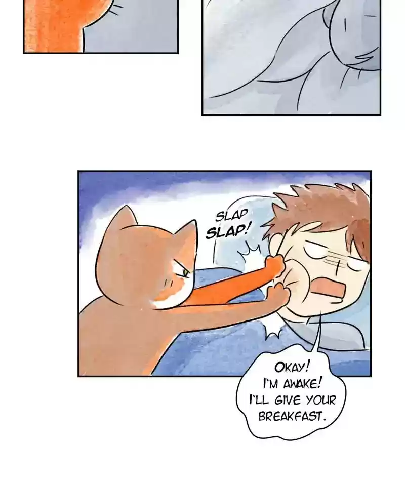 A Budgie's Life Chapter 198: Ep.197: