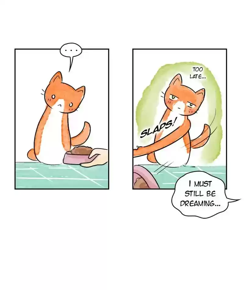 A Budgie's Life Chapter 198: Ep.197: