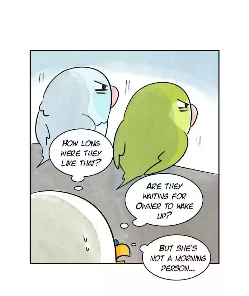 A Budgie's Life Chapter 198: Ep.197: