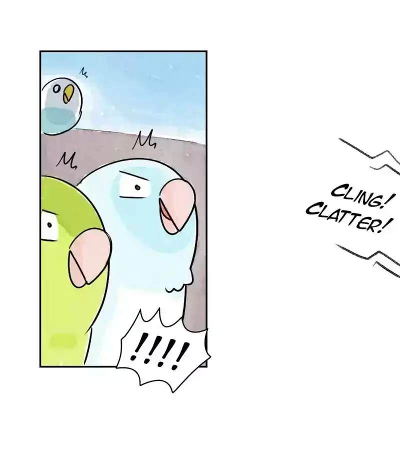 A Budgie's Life Chapter 198: Ep.197: