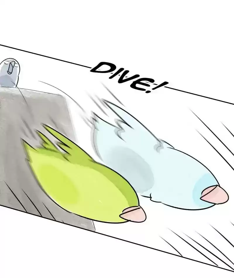 A Budgie's Life Chapter 198: Ep.197: