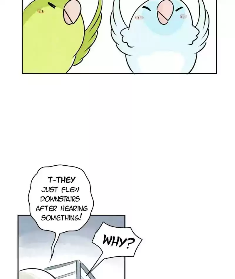 A Budgie's Life Chapter 198: Ep.197: