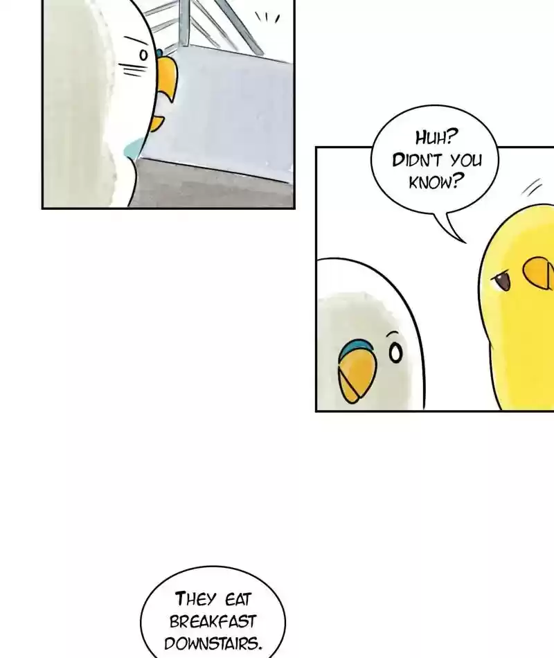 A Budgie's Life Chapter 198: Ep.197: