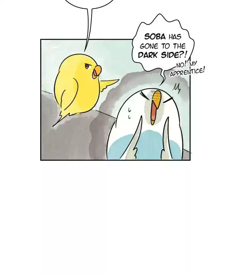 A Budgie's Life Chapter 198: Ep.197: