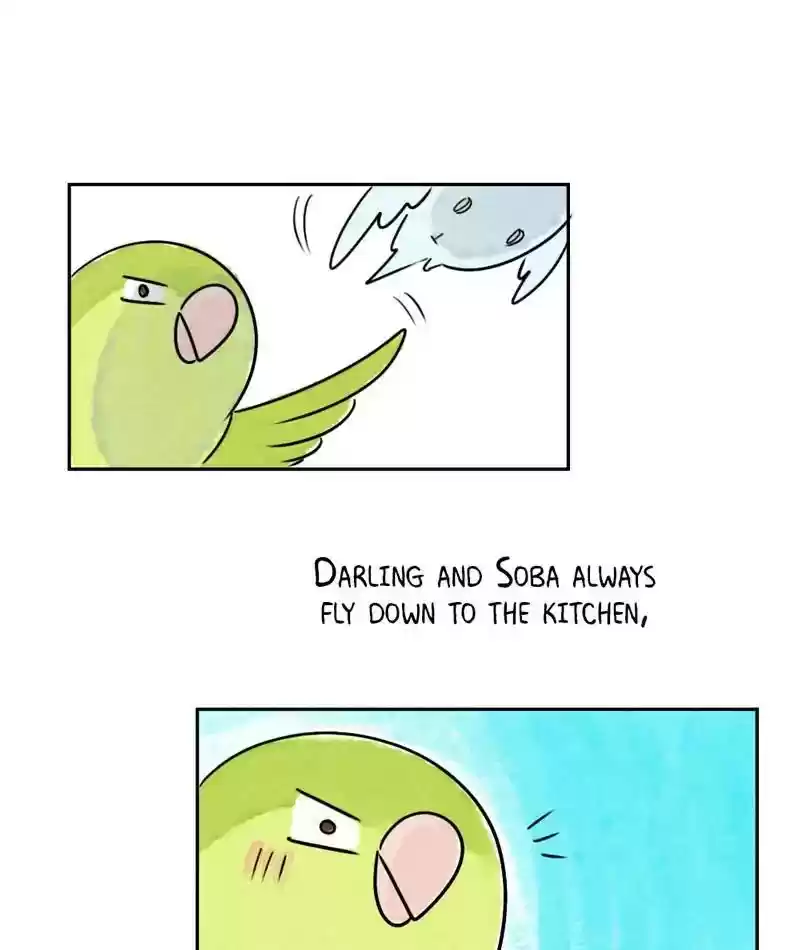 A Budgie's Life Chapter 198: Ep.197: