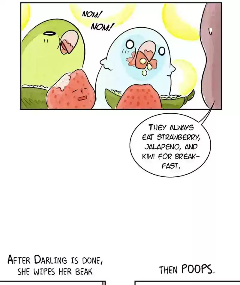 A Budgie's Life Chapter 198: Ep.197: