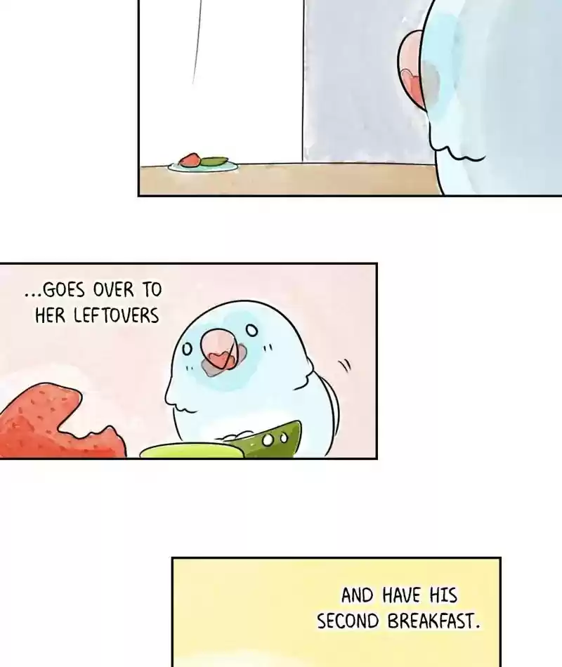 A Budgie's Life Chapter 198: Ep.197: