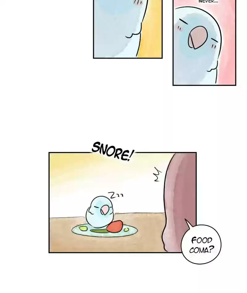 A Budgie's Life Chapter 198: Ep.197: