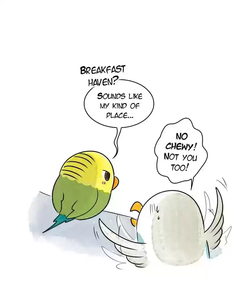 A Budgie's Life Chapter 198: Ep.197: