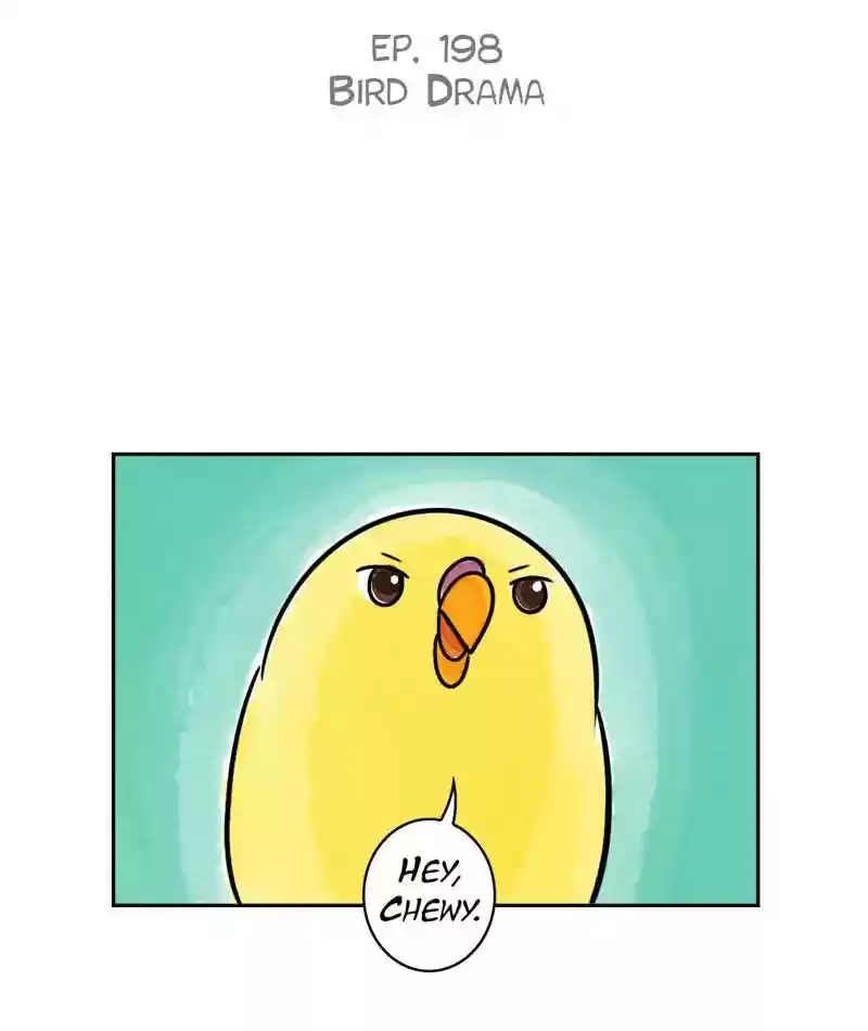 A Budgie's Life Chapter 199: Ep.198: