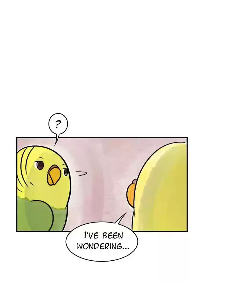 A Budgie's Life Chapter 199: Ep.198: