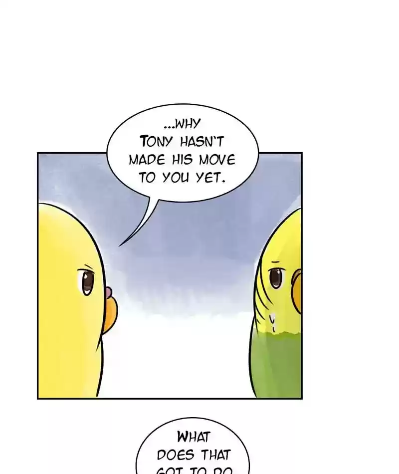 A Budgie's Life Chapter 199: Ep.198: