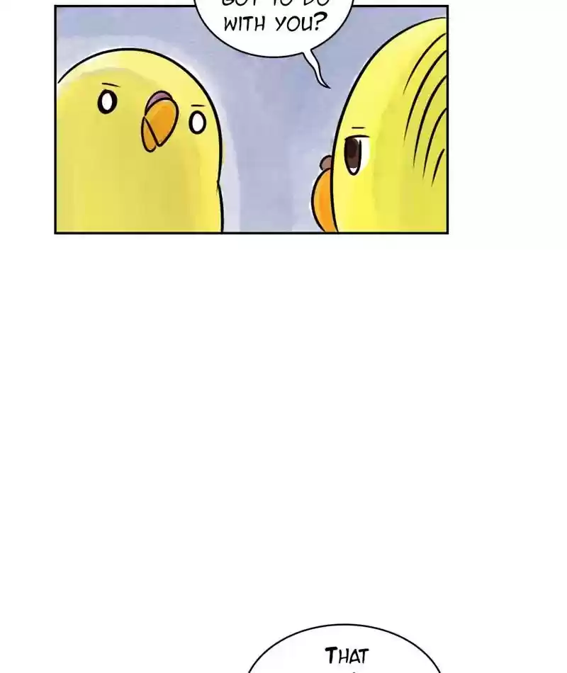 A Budgie's Life Chapter 199: Ep.198: