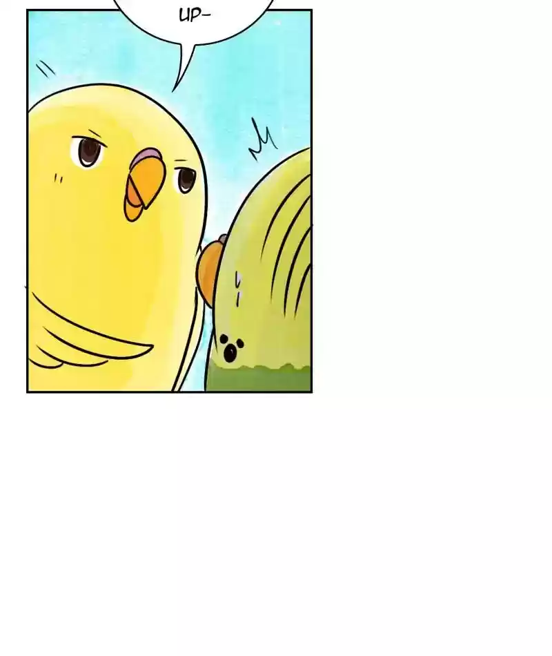 A Budgie's Life Chapter 199: Ep.198: