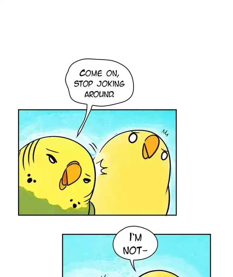 A Budgie's Life Chapter 199: Ep.198: