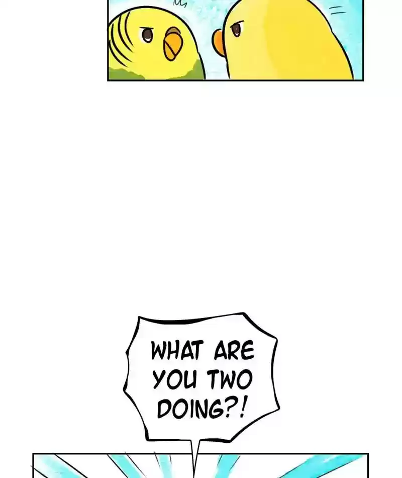 A Budgie's Life Chapter 199: Ep.198: