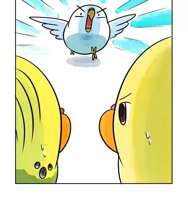 A Budgie's Life Chapter 199: Ep.198: