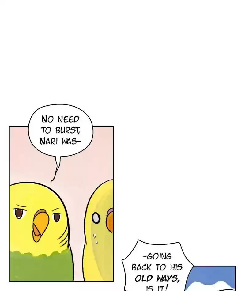 A Budgie's Life Chapter 199: Ep.198: