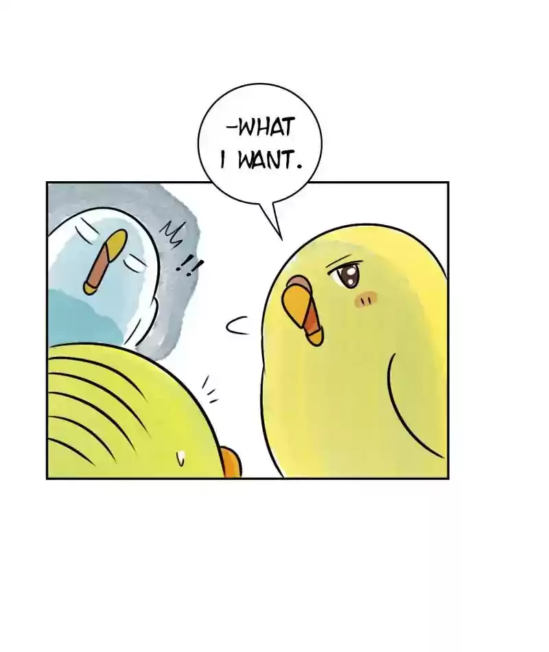 A Budgie's Life Chapter 199: Ep.198: