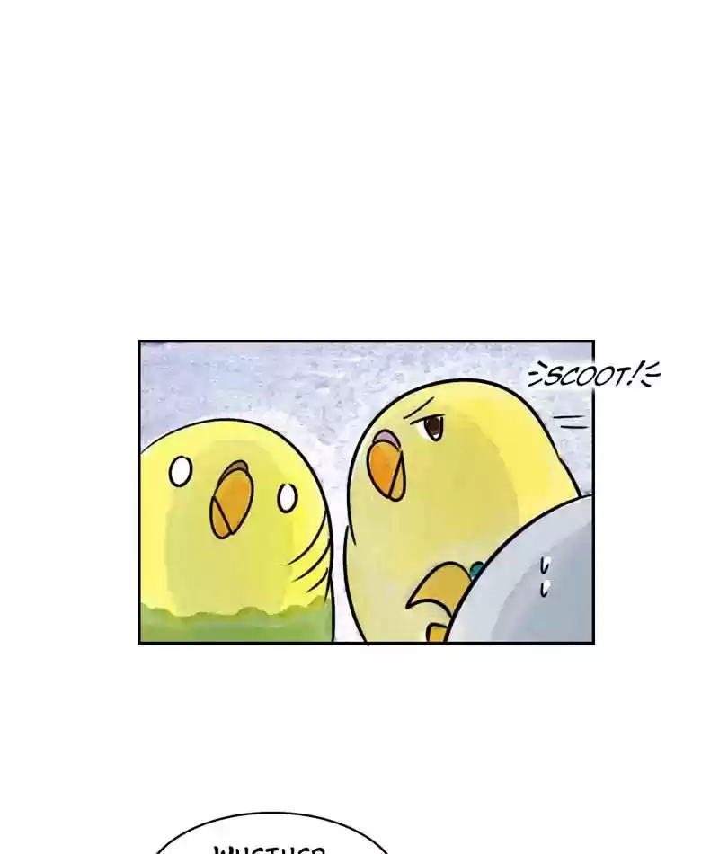 A Budgie's Life Chapter 199: Ep.198: