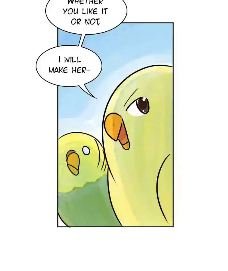 A Budgie's Life Chapter 199: Ep.198: