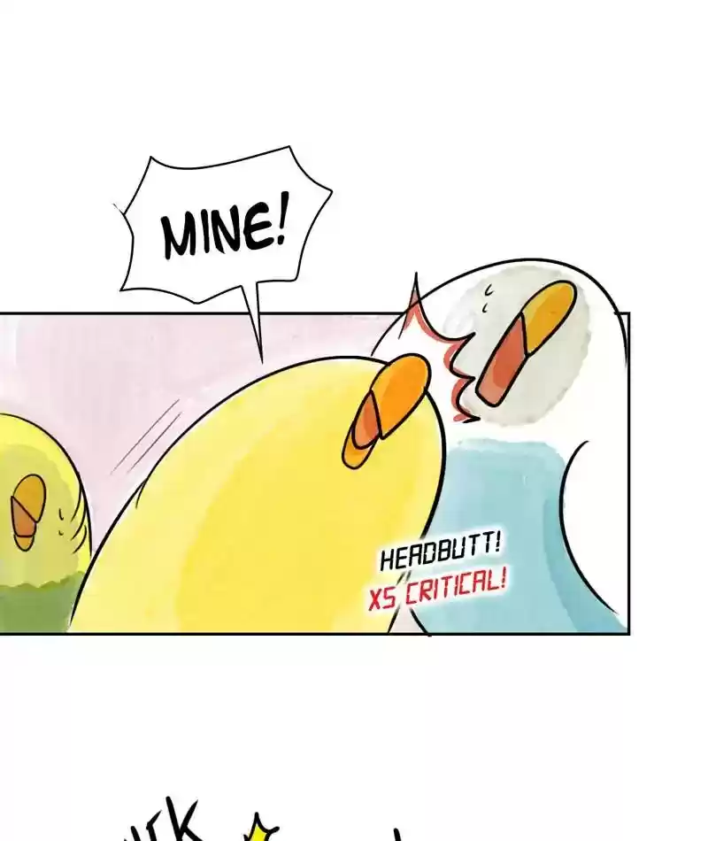 A Budgie's Life Chapter 199: Ep.198: