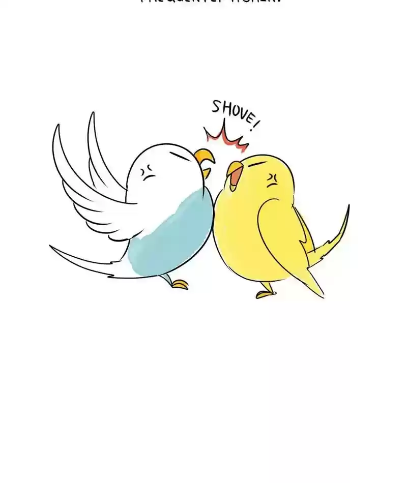 A Budgie's Life Chapter 199: Ep.198: