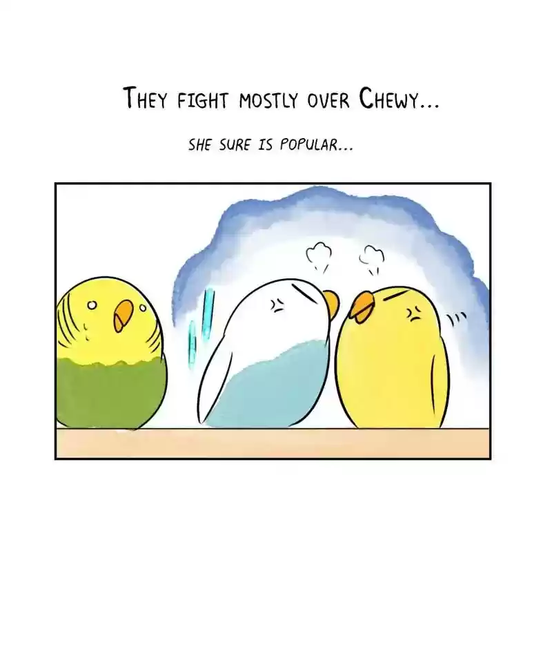 A Budgie's Life Chapter 199: Ep.198: