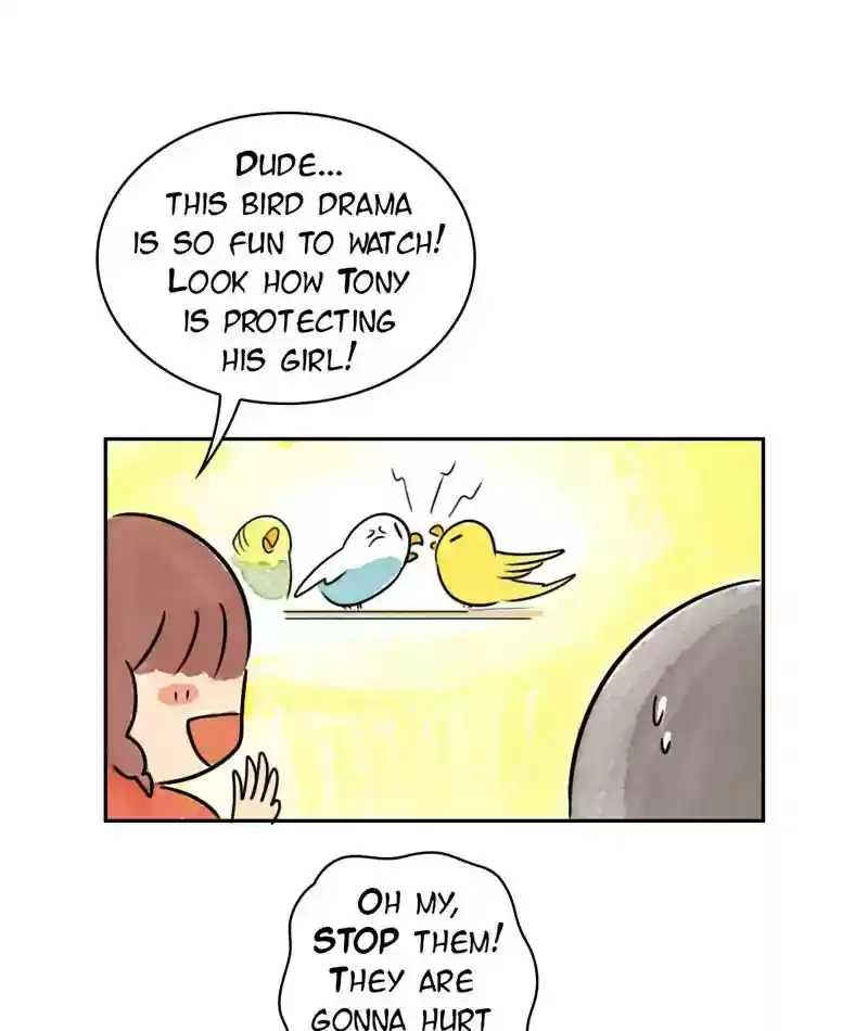 A Budgie's Life Chapter 199: Ep.198: