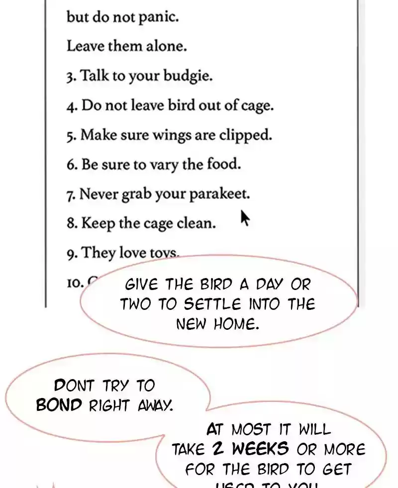 A Budgie's Life Chapter 2: Ep.2: