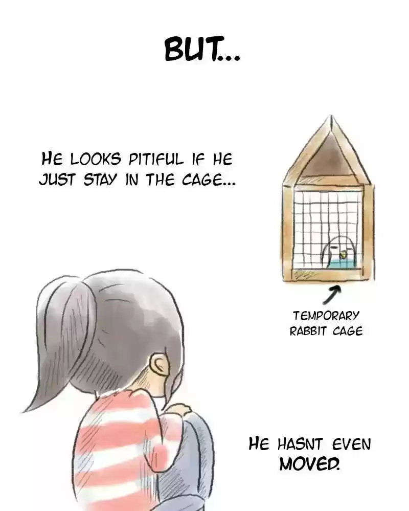 A Budgie's Life Chapter 2: Ep.2: