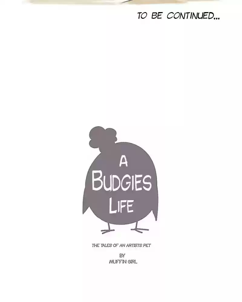 A Budgie's Life Chapter 2: Ep.2: