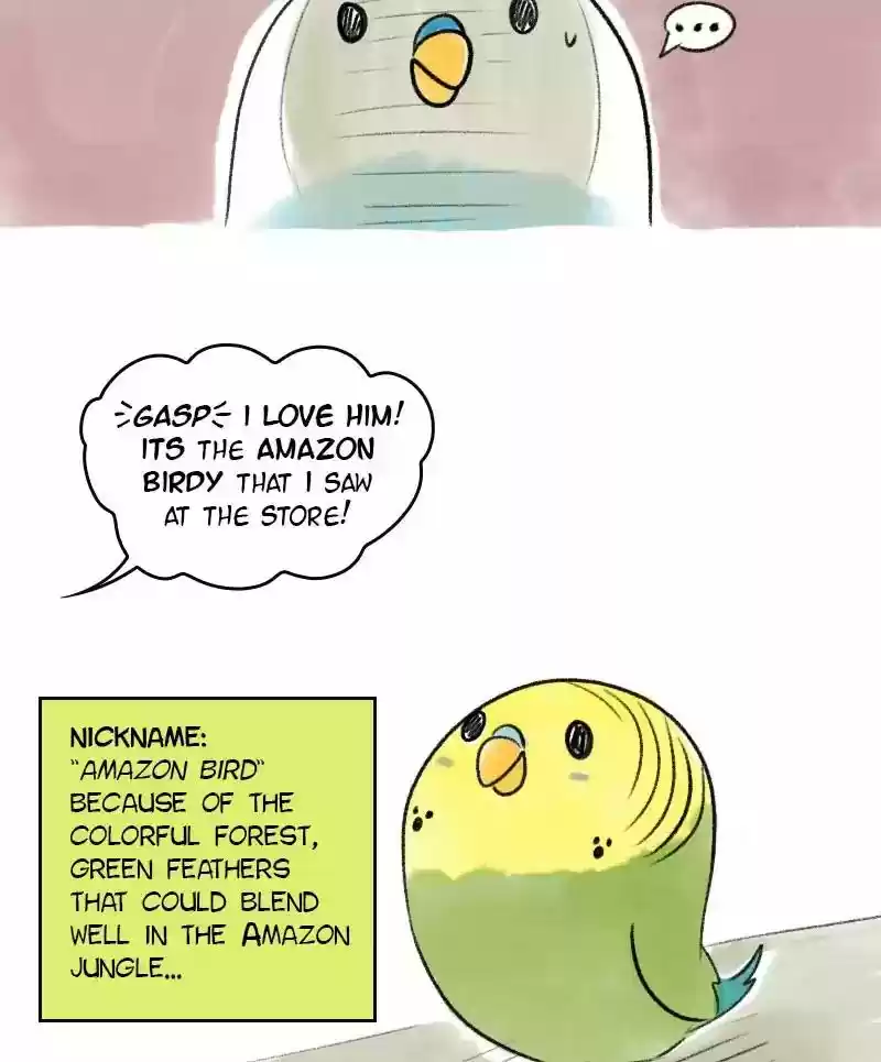 A Budgie's Life Chapter 20: Ep.20: