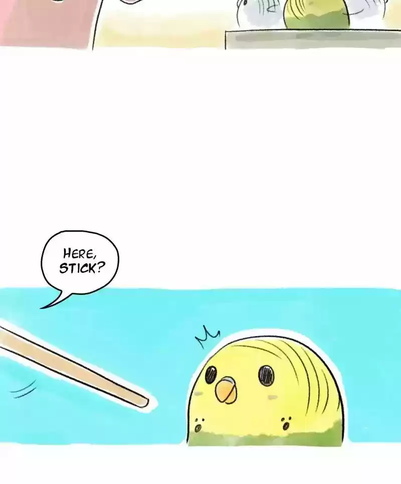 A Budgie's Life Chapter 20: Ep.20: