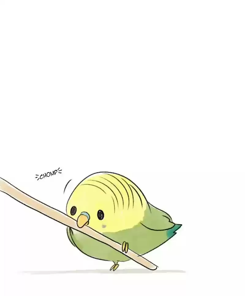 A Budgie's Life Chapter 20: Ep.20: