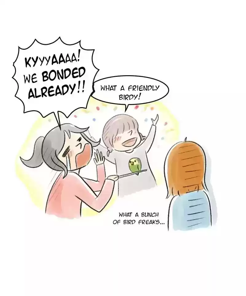 A Budgie's Life Chapter 20: Ep.20: