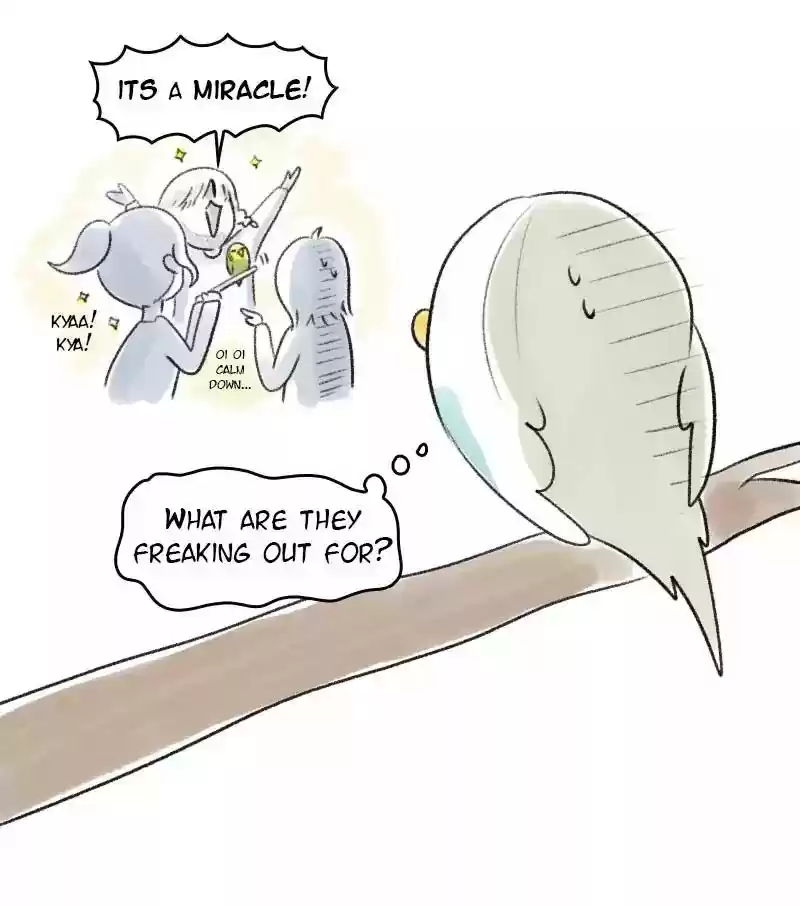 A Budgie's Life Chapter 20: Ep.20: