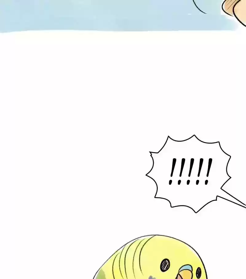 A Budgie's Life Chapter 20: Ep.20: