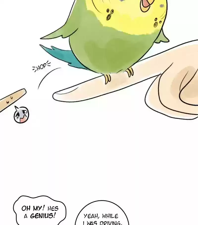 A Budgie's Life Chapter 20: Ep.20: