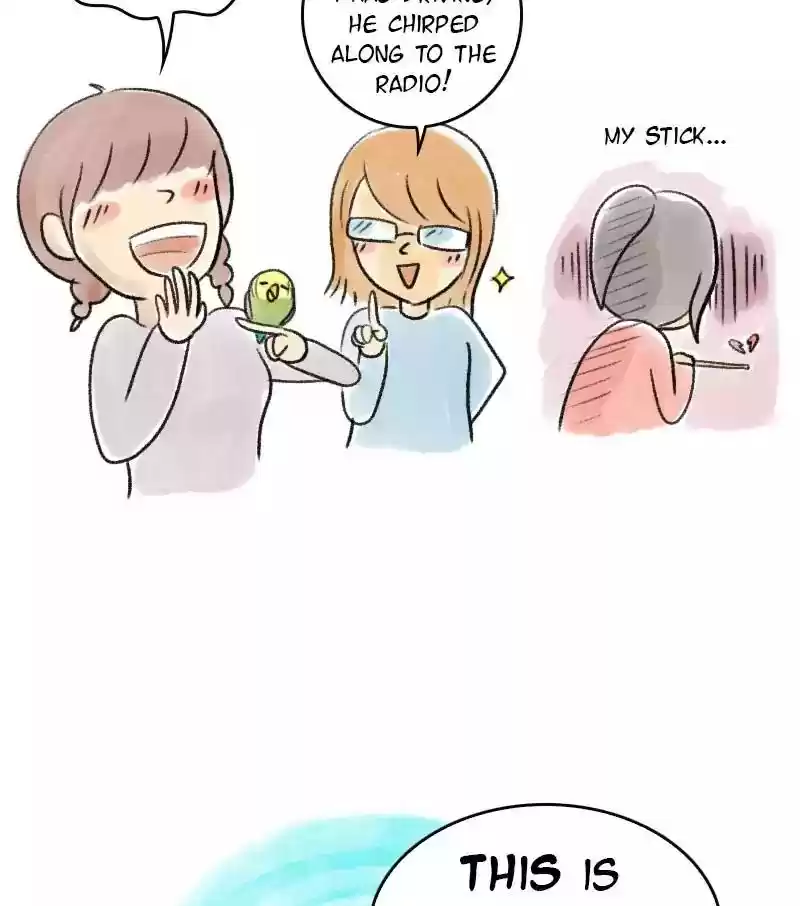 A Budgie's Life Chapter 20: Ep.20: