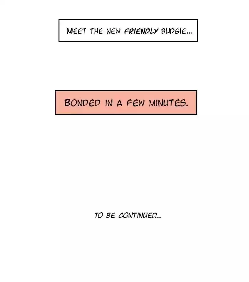 A Budgie's Life Chapter 20: Ep.20: