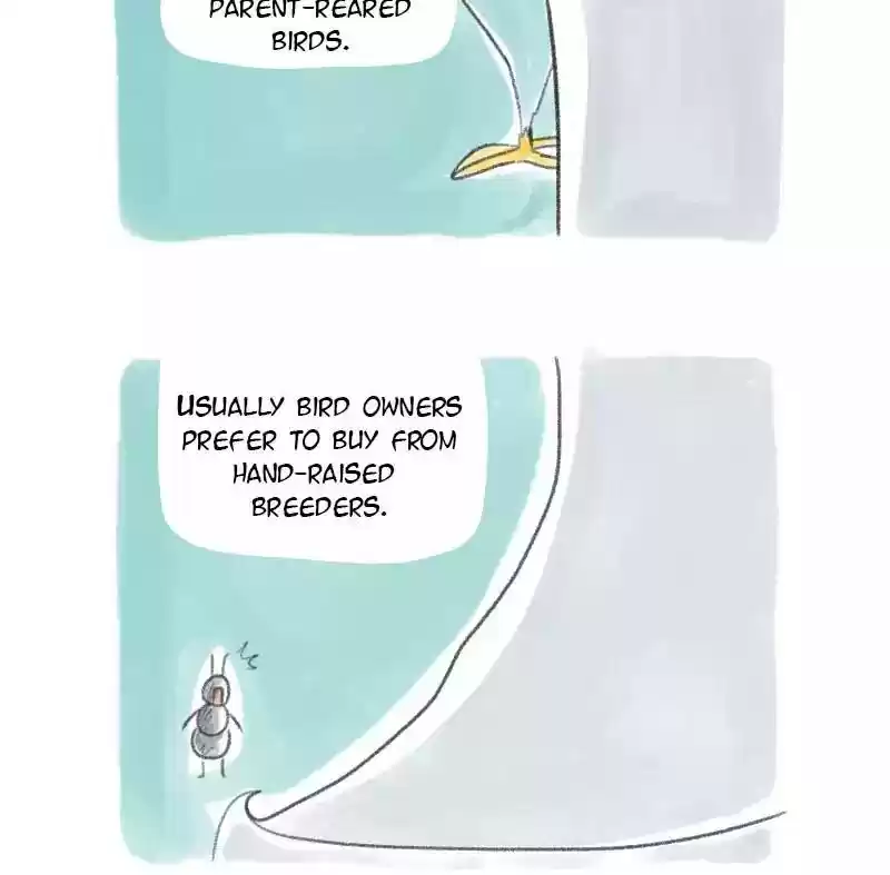 A Budgie's Life Chapter 20: Ep.20: