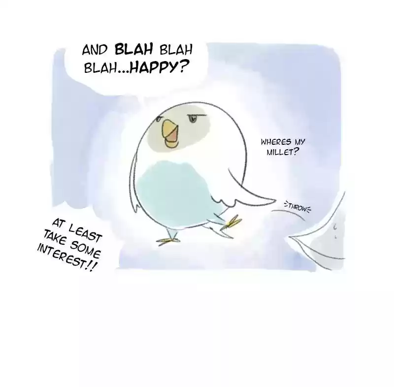 A Budgie's Life Chapter 20: Ep.20: