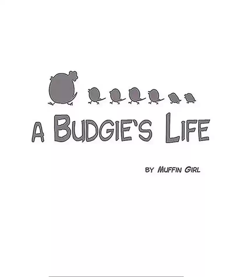 A Budgie's Life Chapter 200: Ep.199: