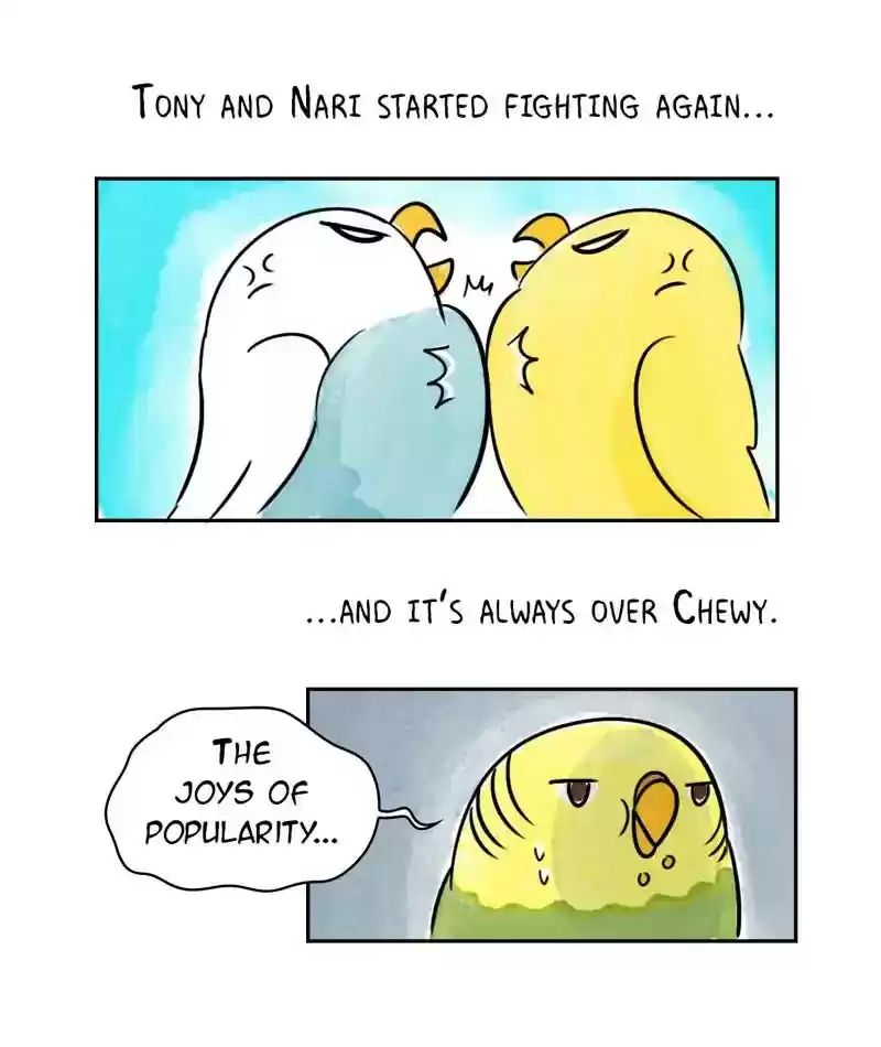 A Budgie's Life Chapter 200: Ep.199: