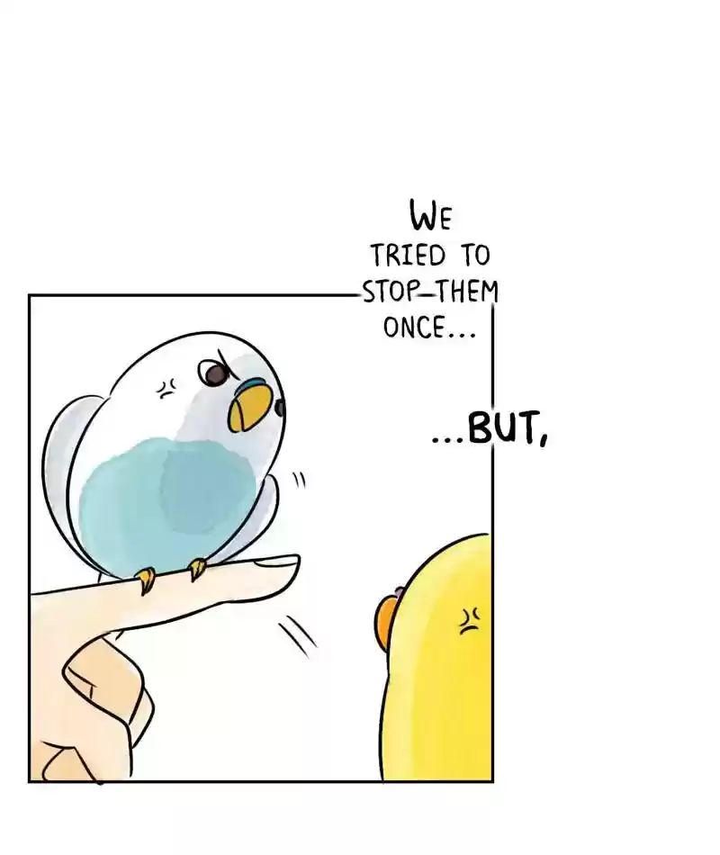 A Budgie's Life Chapter 200: Ep.199: