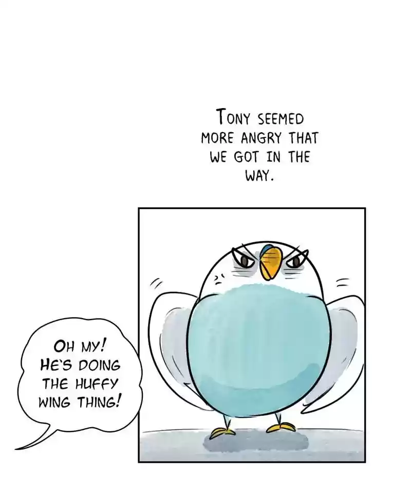 A Budgie's Life Chapter 200: Ep.199:
