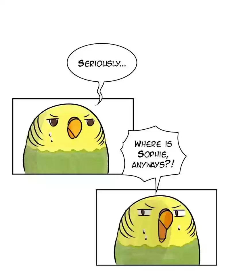 A Budgie's Life Chapter 200: Ep.199: